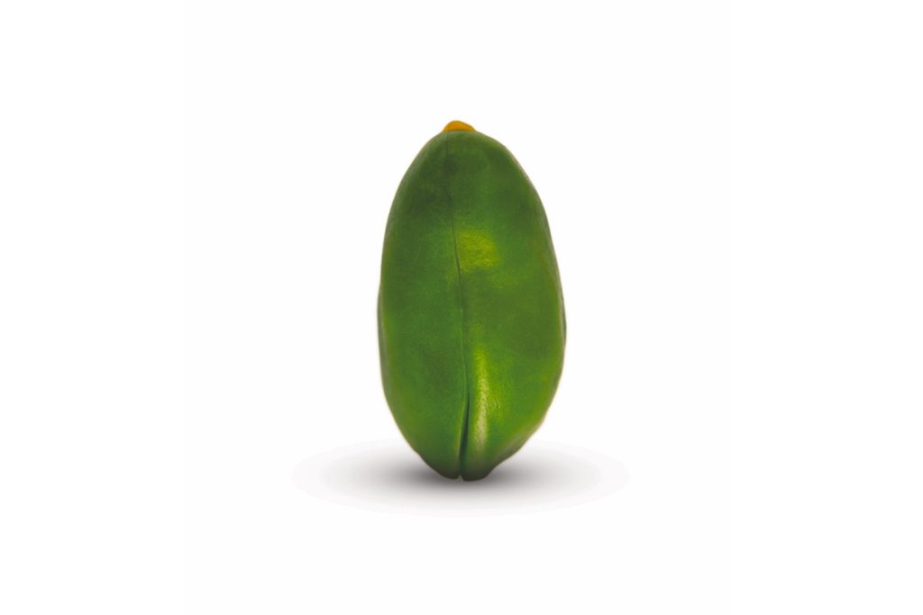 Green Pistachios Kernel 2